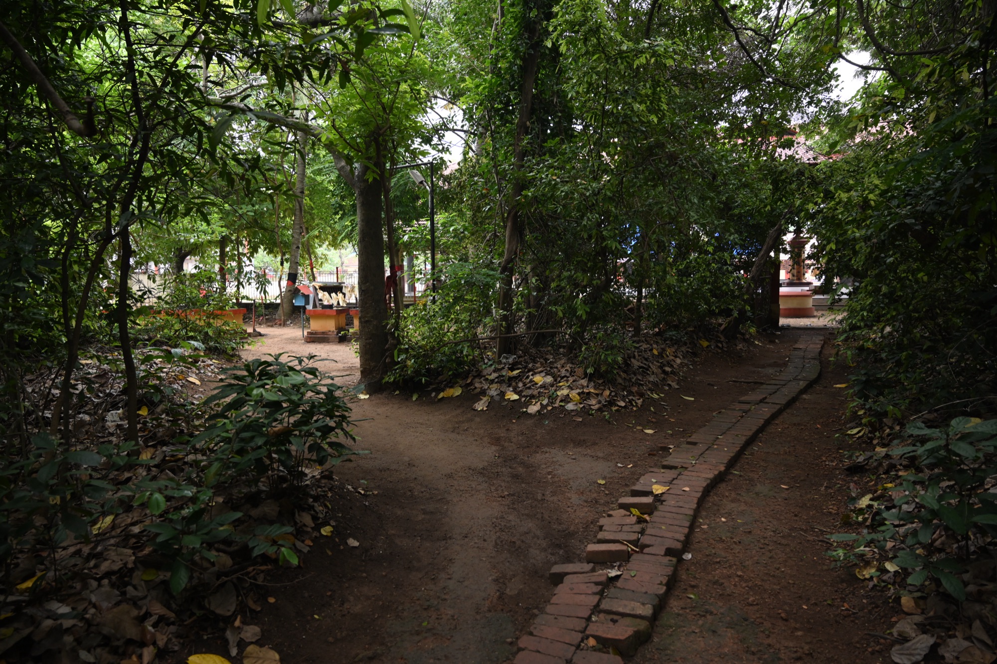 കവിന്റ ഉള്ളിലെ നടപ്പാത